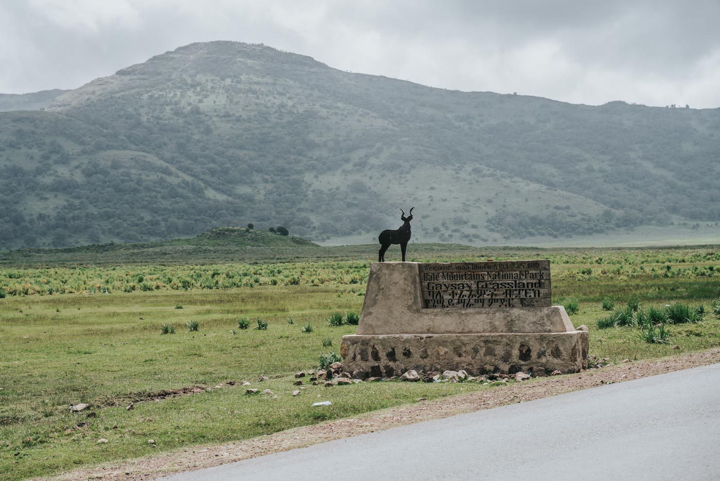 埃塞俄比亚贝尔山国家公园的入口