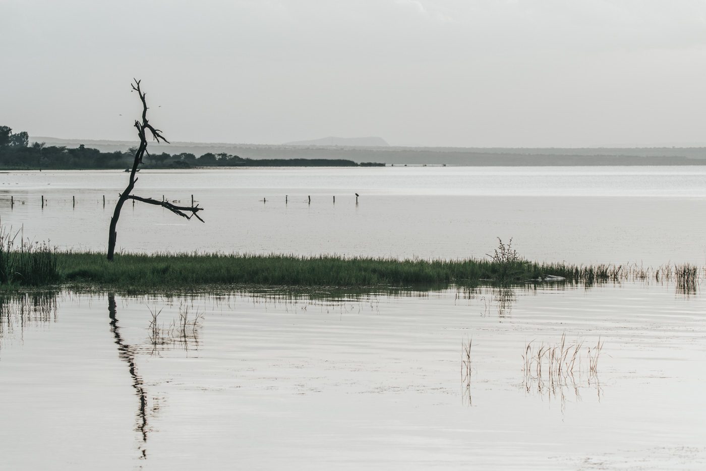 南埃塞俄比亚的兰加诺湖