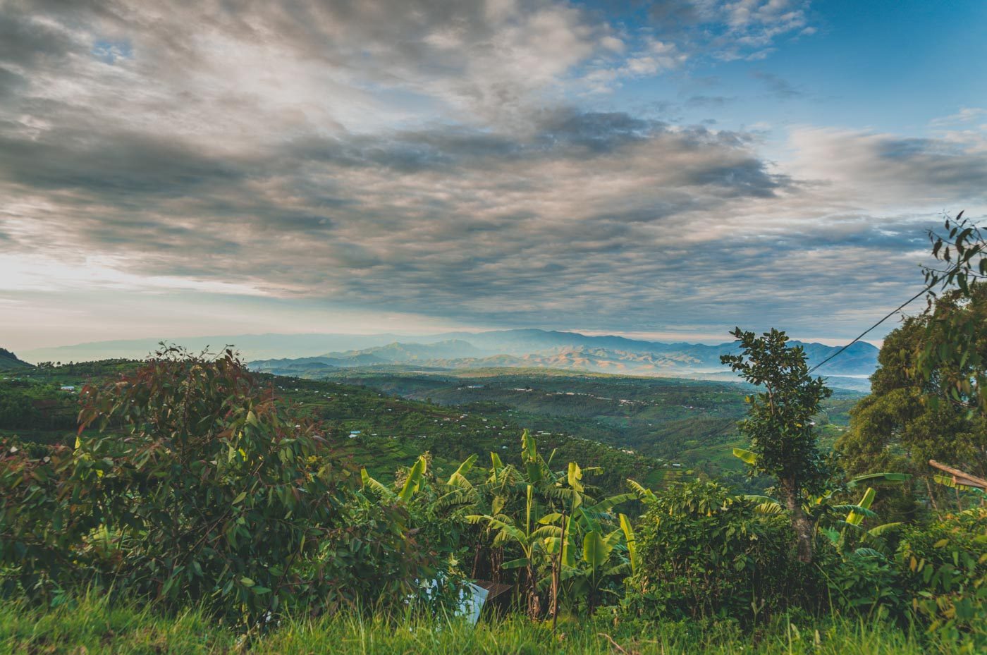 卢旺达大猩猩狩猎旅行的风景