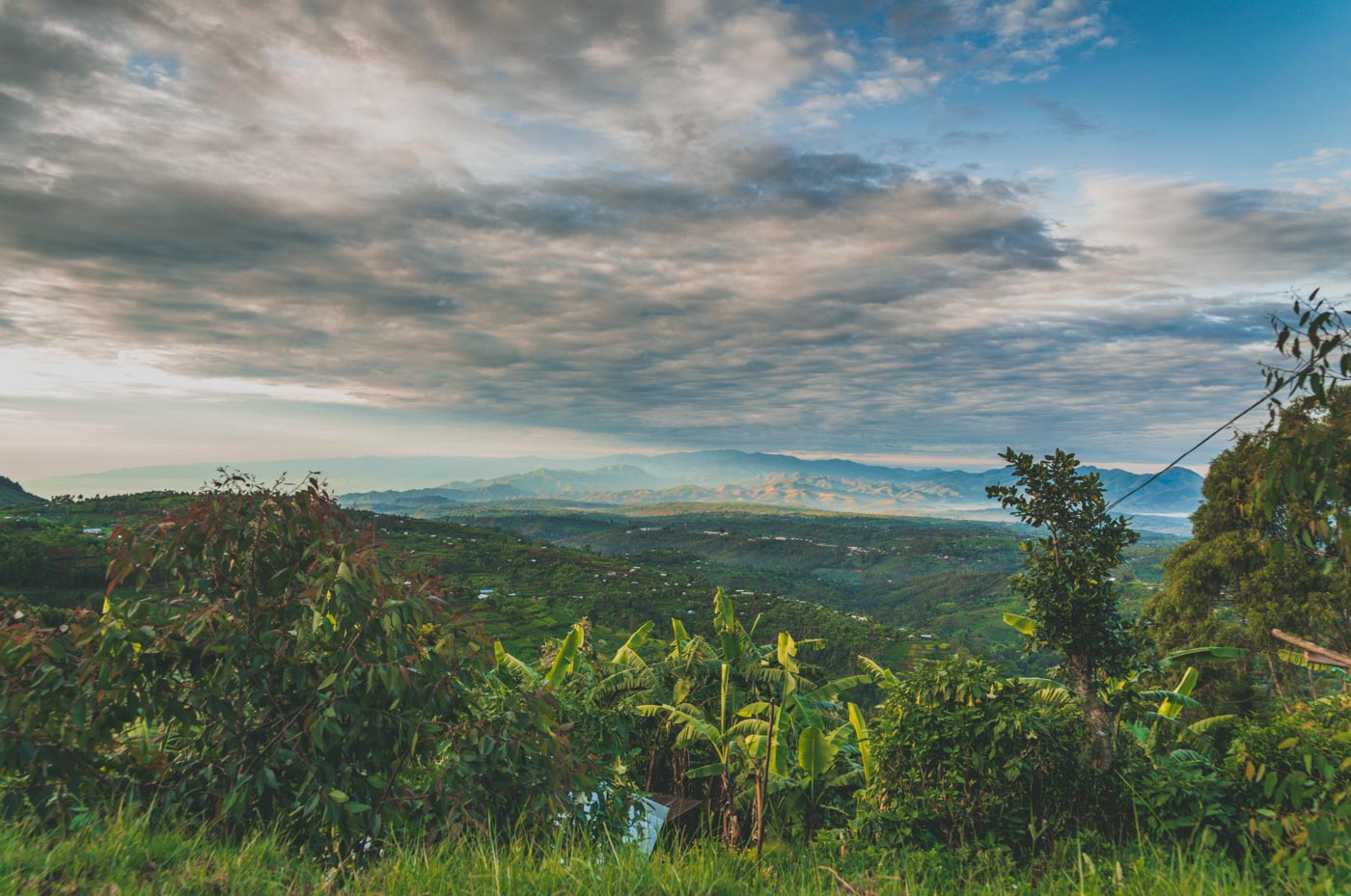 为什么要去卢旺达的火山国家公园