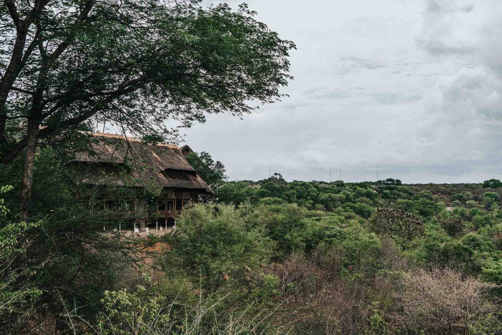住在津巴布韦的维多利亚瀑布野生旅馆