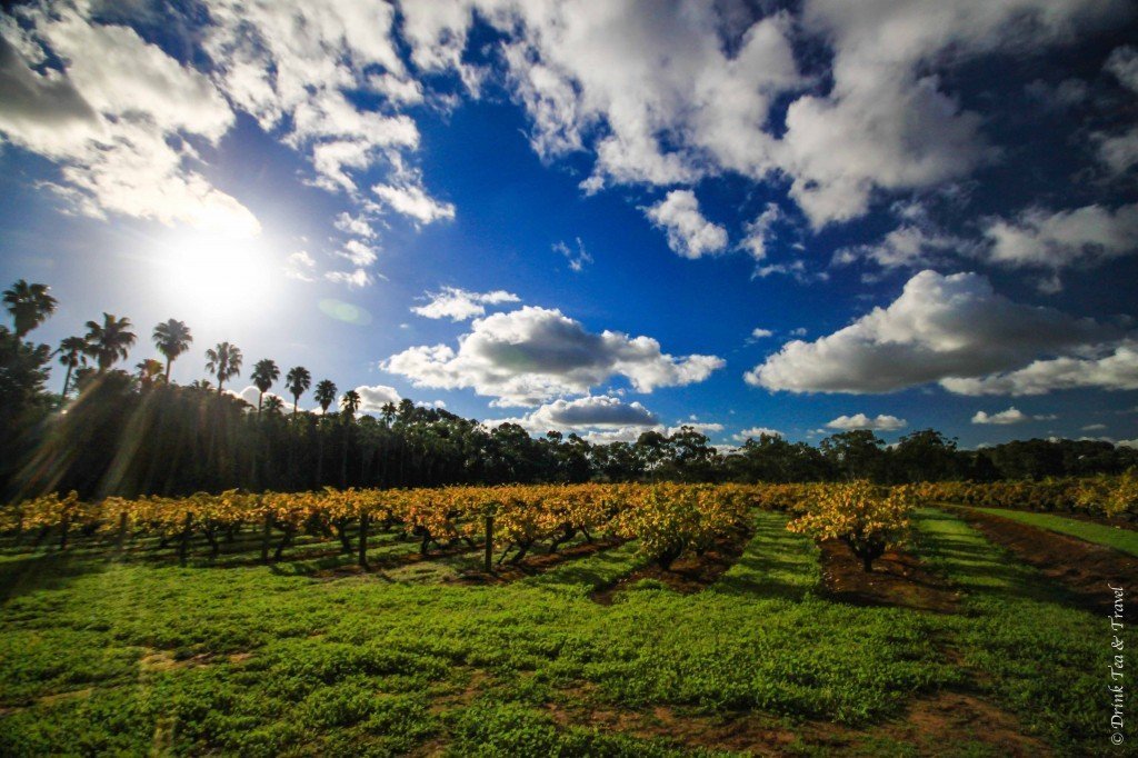 巴罗萨谷，南澳大利亚，澳大利亚的葡萄酒产区