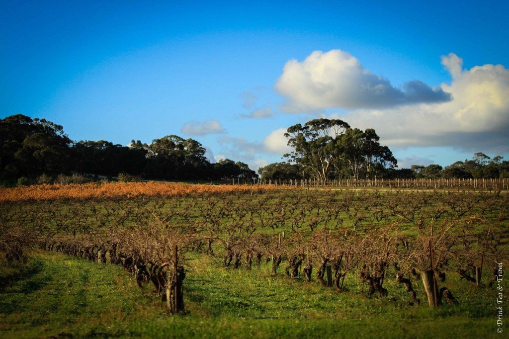 澳大利亚葡萄酒产区