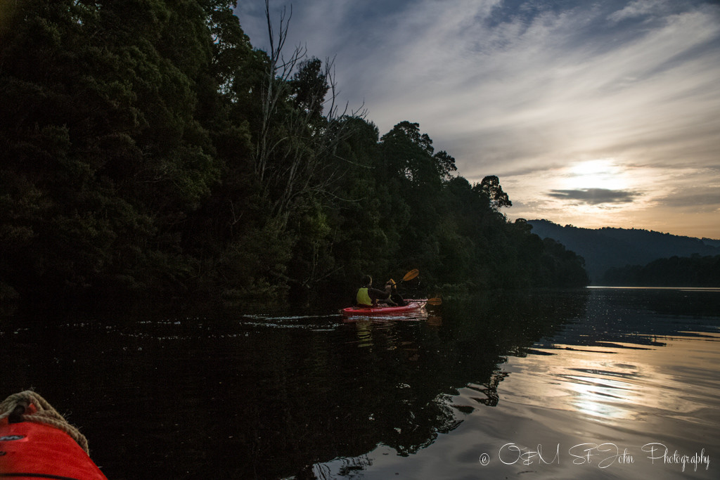 塔斯马尼亚州最佳景点:早晨在科林纳的皮尔曼河上划皮艇