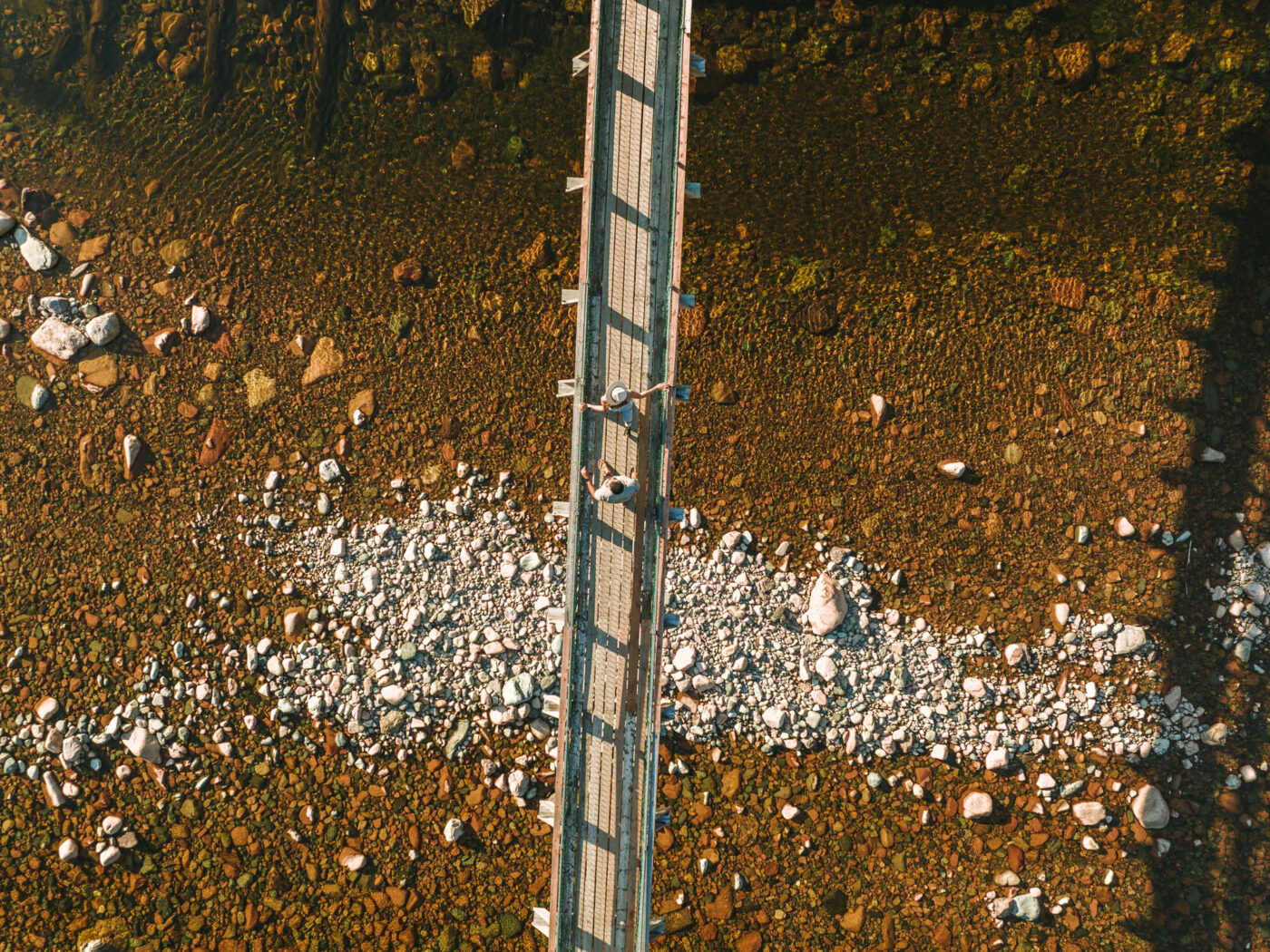 大鲑鱼河吊桥，芬迪步道公园路