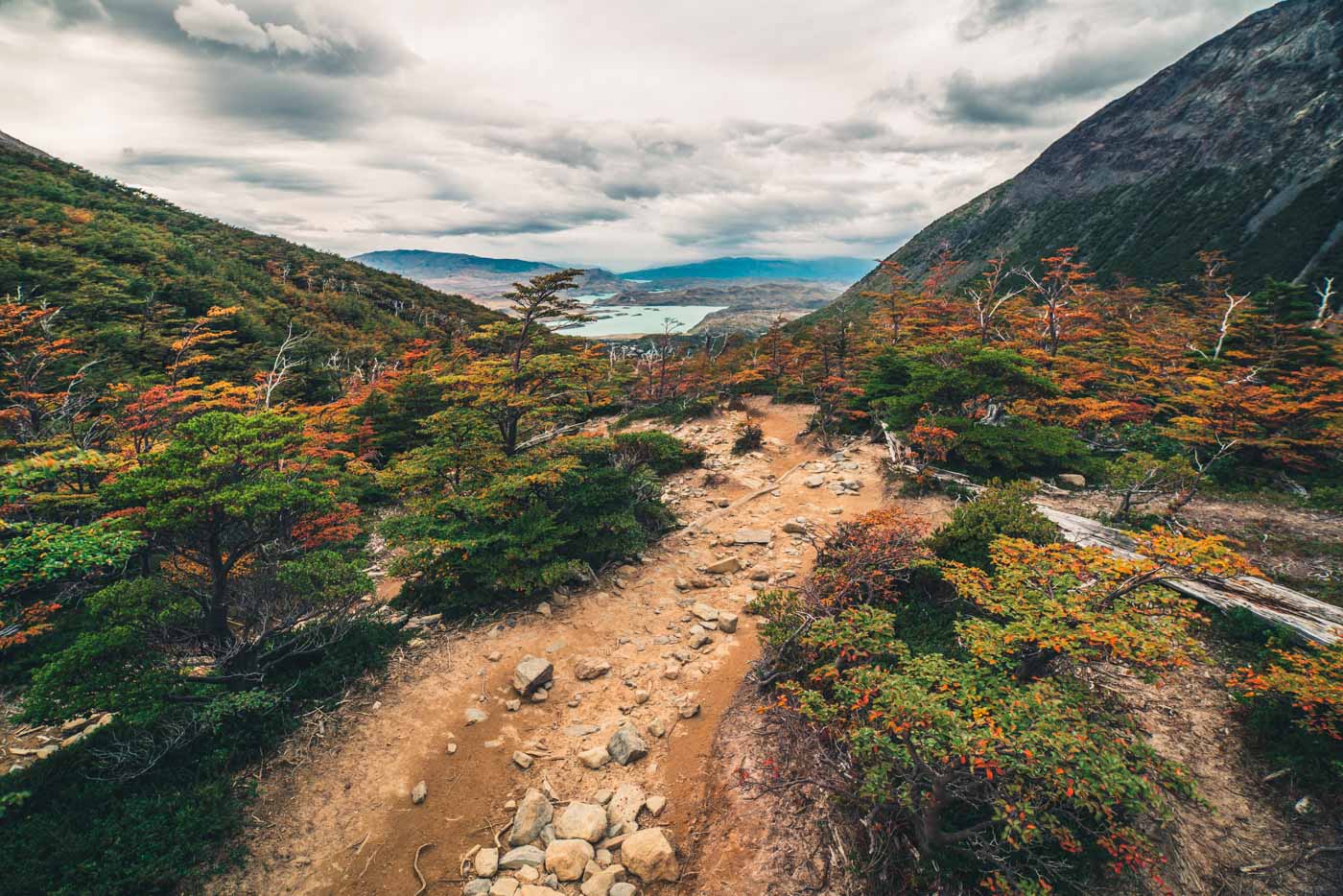 在智利巴塔哥尼亚的托雷斯·德尔·潘恩国家公园，秋天的色彩描绘着法国山谷