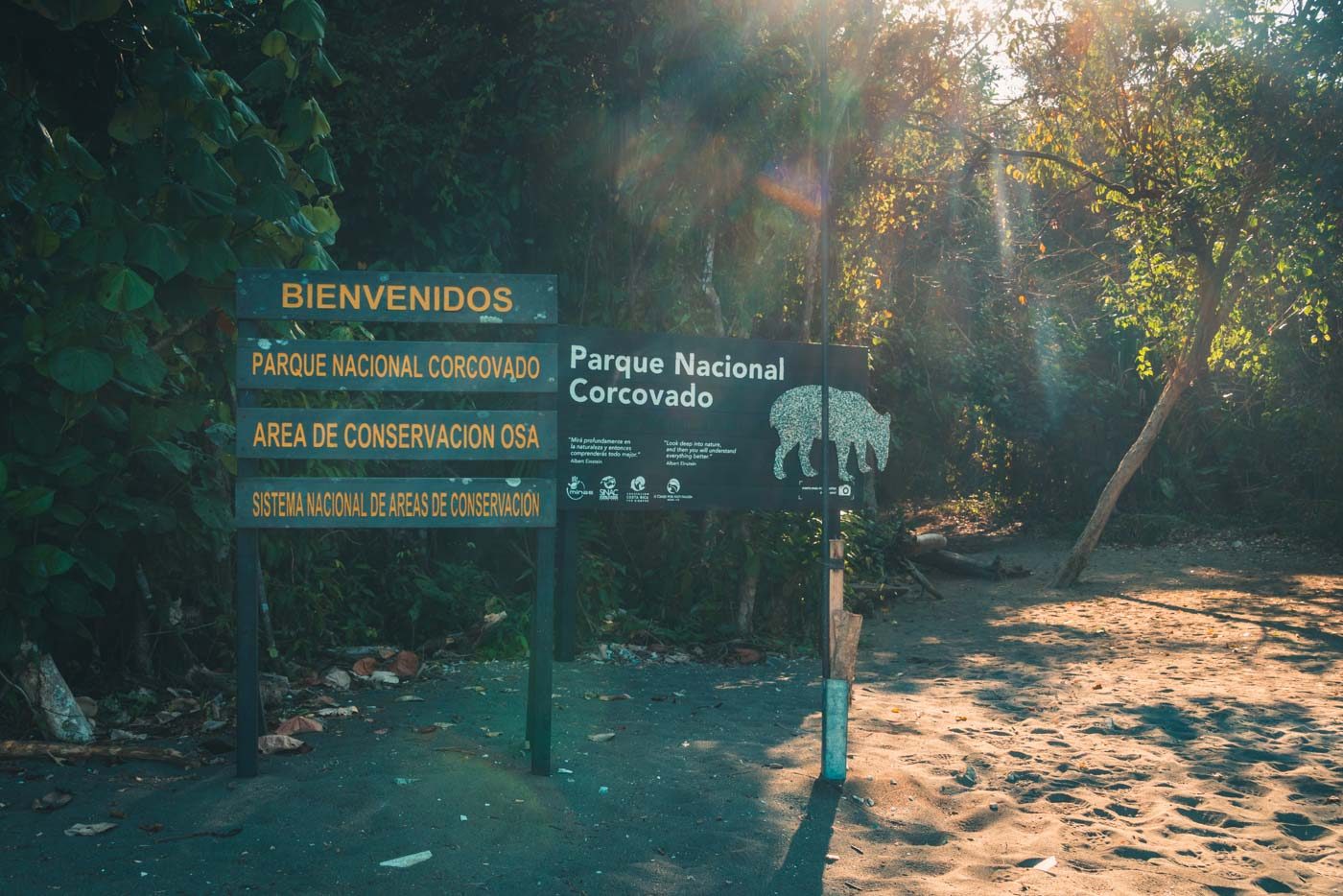 科尔科瓦多国家公园，自然栖息地的奇异动物
