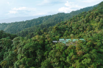 Mashpi Lodge Reserve:我们在厄瓜多尔雨林中心的独特住宿