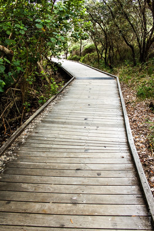 弗雷泽岛之旅:伊莱溪的木板步道