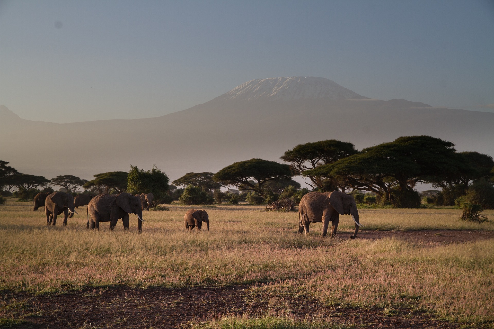 安博塞利国家公园，肯尼亚可以做的事情