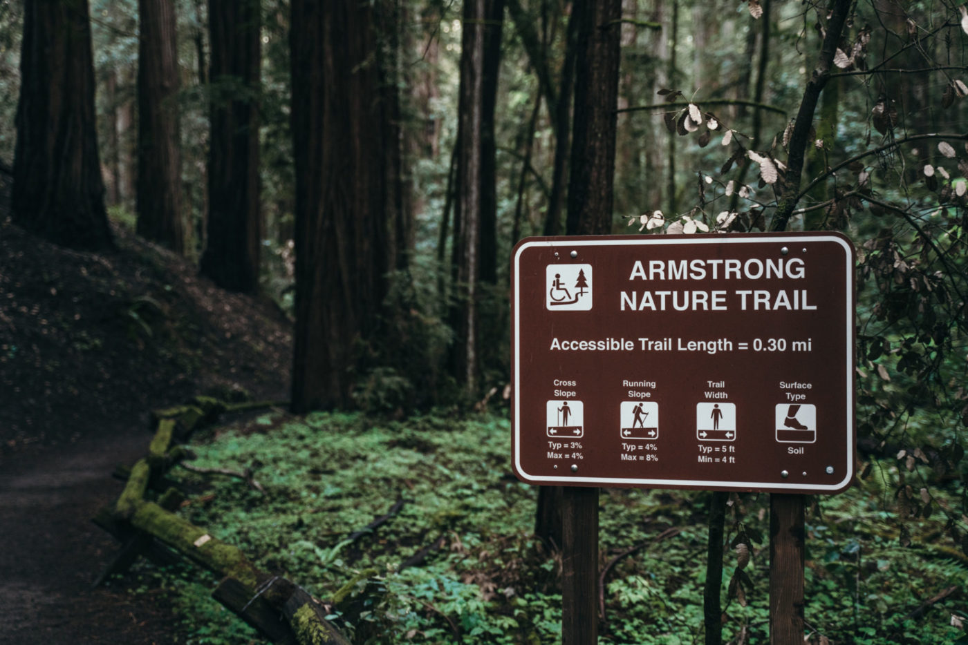 阿姆斯壮自然步道位于阿姆斯壮红杉保护区