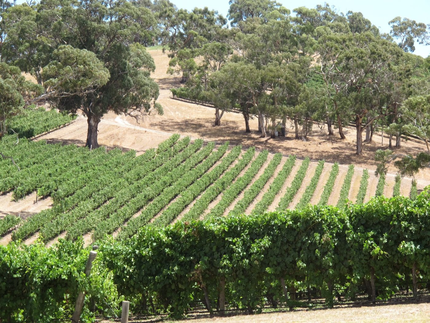 澳大利亚葡萄酒产区